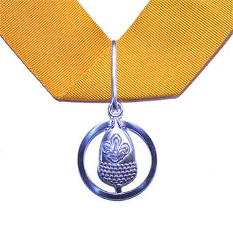 silver_acorn